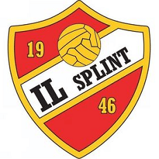 IL Splint logo