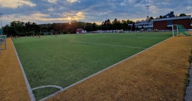 Vik Kunstgress - Lia IL