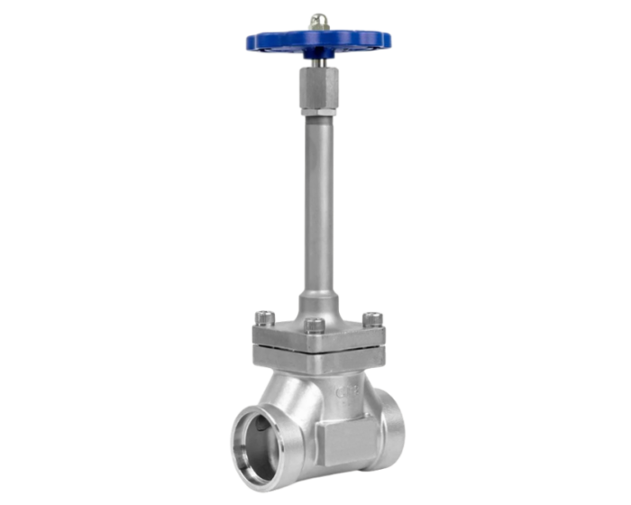 Cryogenic Globe Valve with long stem Socket Weld