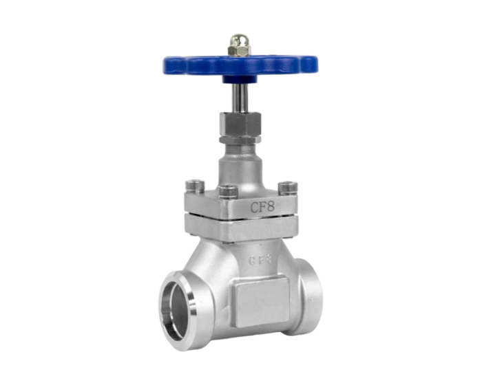 Cryogenic Globe Valve with short stem Socket Weld