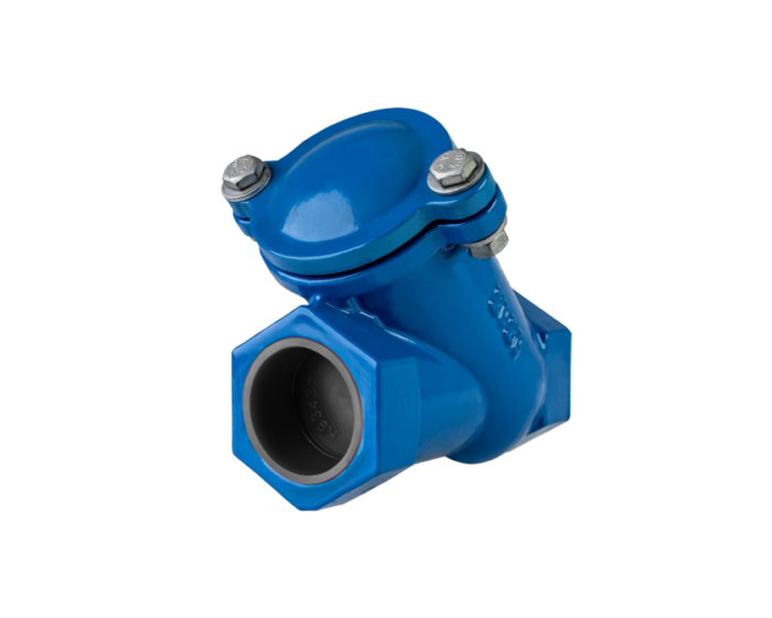 Threaded Ball Check Valve Ductile Iron Nordic Valves