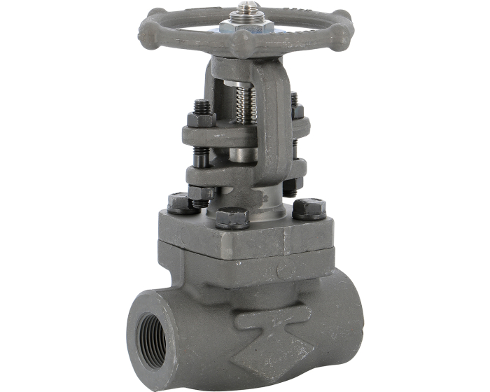 Nordic Valves Gate valves - Knife gate valves 118 - Forged gate valve class800 trim12 female female NPT