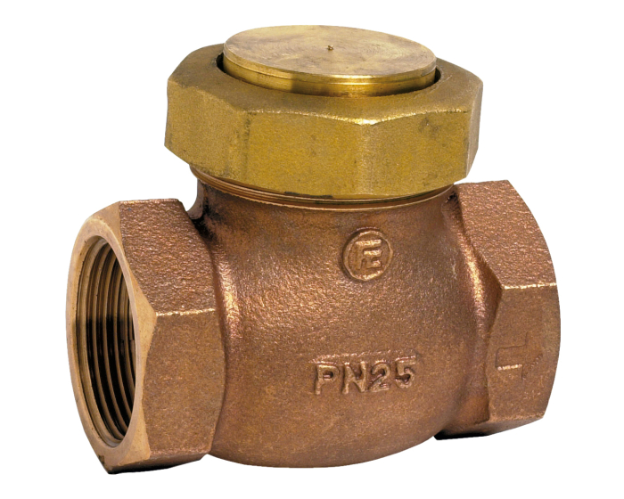Nordic Valves Non-return valves - Filters - Strainers 354 - PTFE check valve and bronze body 2''