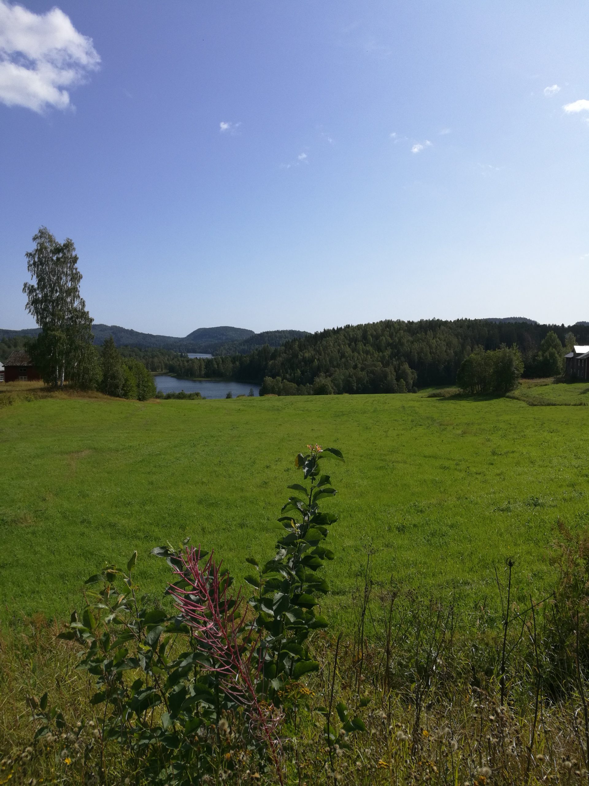 Utsikten från Nordingrå Konstby