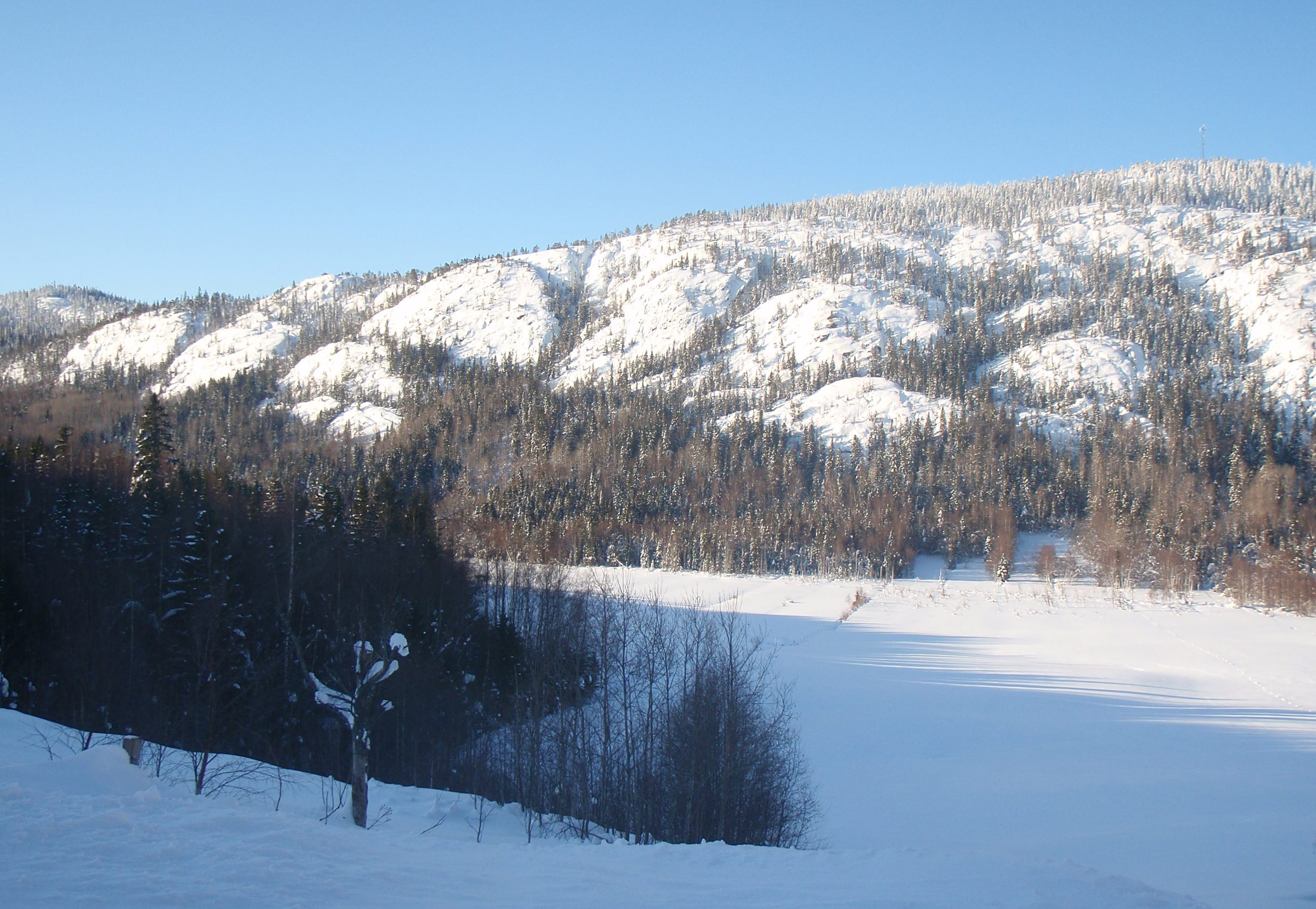 Dalsberget-i-snö (1)