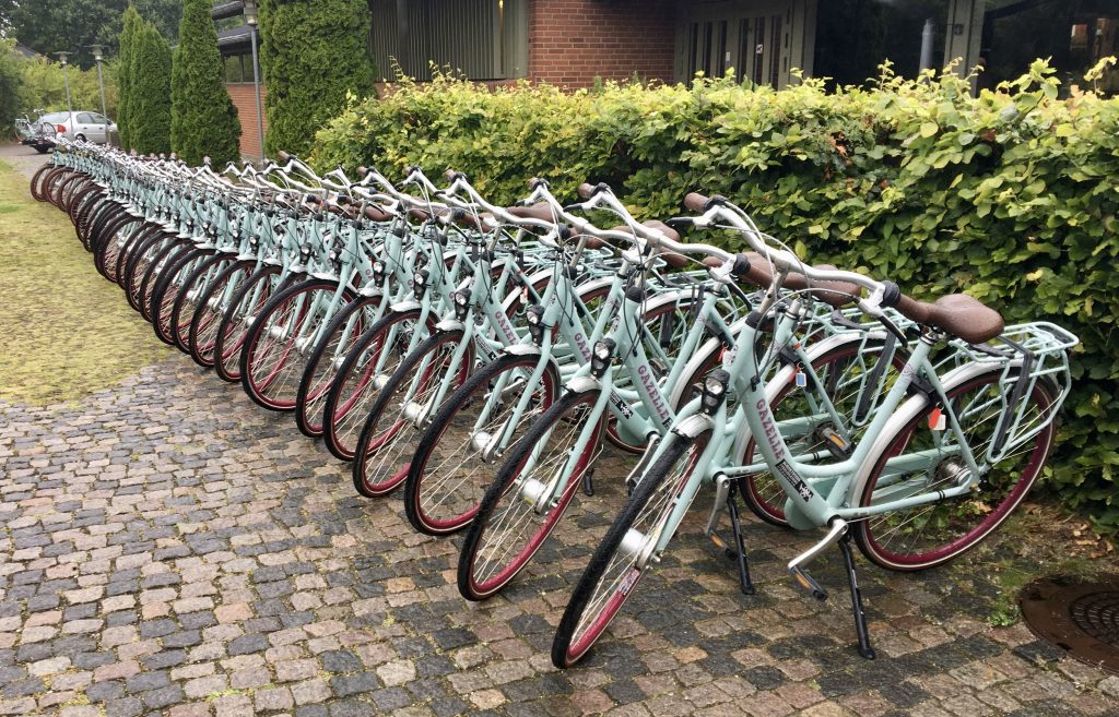 Firma event NovoNordisk