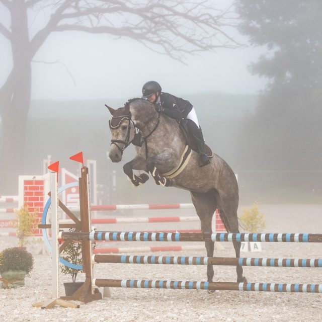 Reiter beim Sprung im Springturnier Nebel