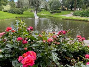 Hage med dam