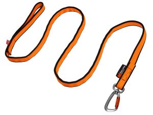 Bungee Leash
