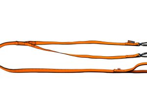 Bungee Leash double