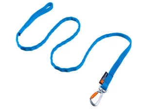Bungee Leash LTD