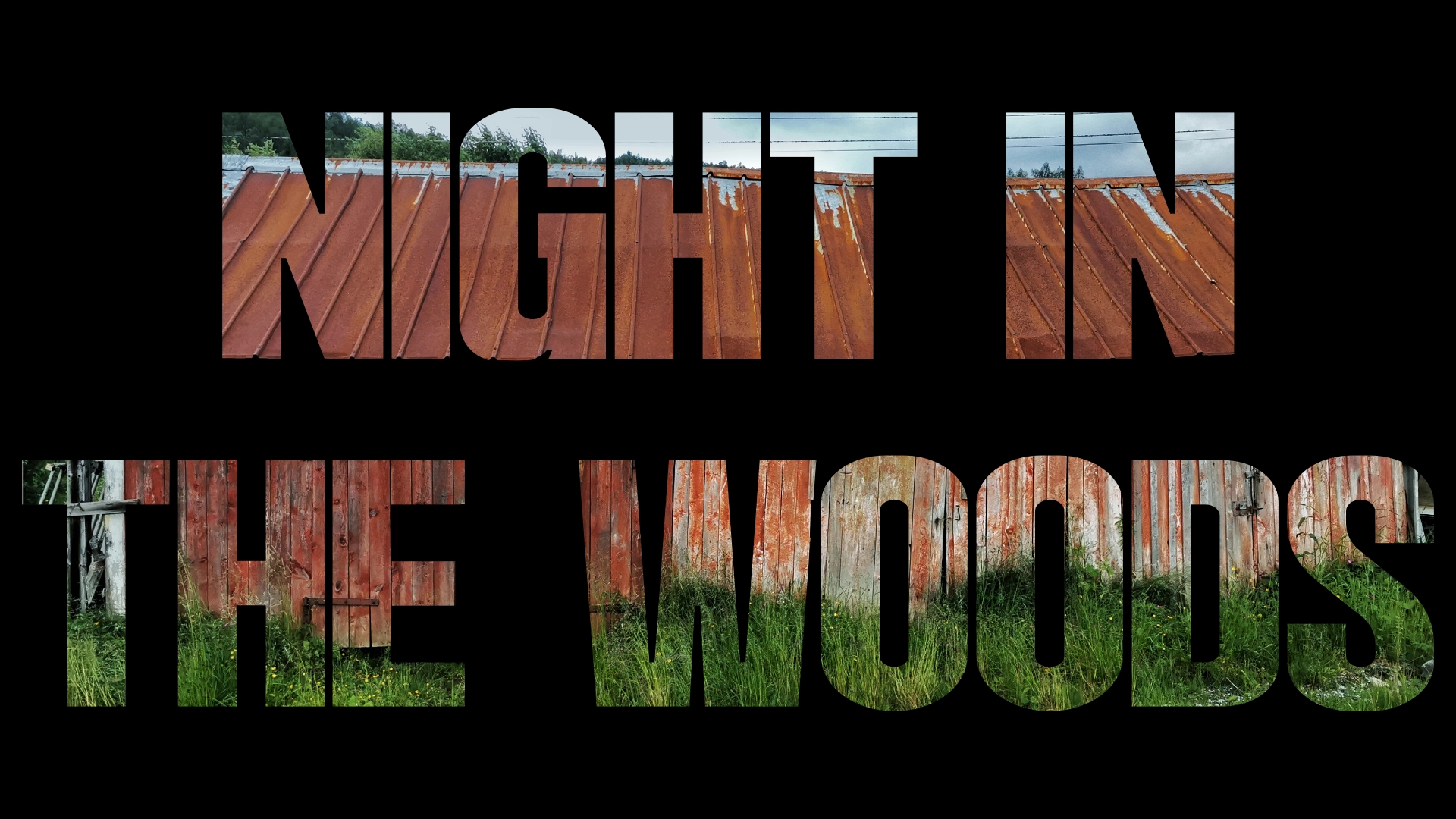 Night in the Woods