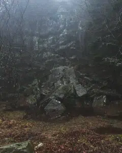 En steinur ute i skogen