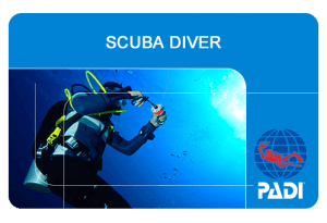 PADI Scuba Diver