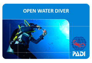 Open Water Diver