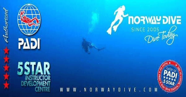 Norway Dive