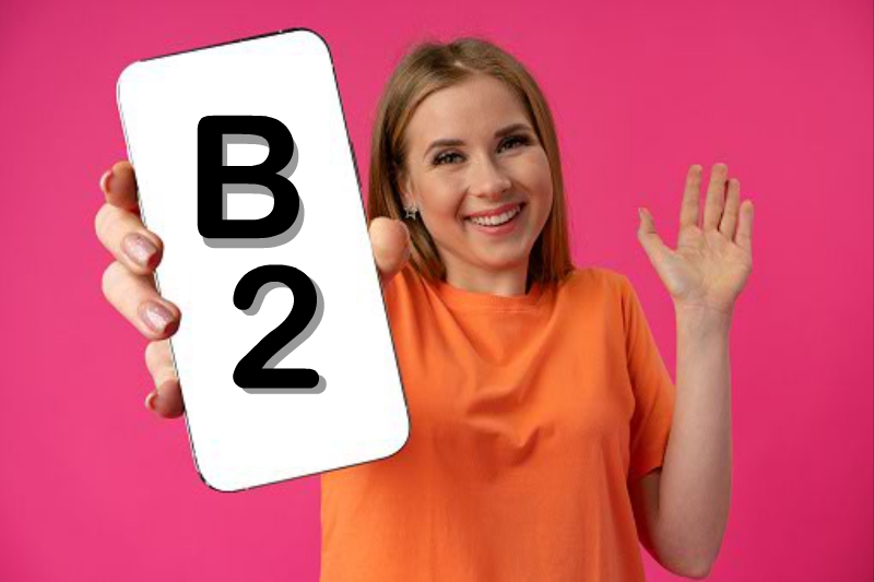 Link til b2 demokurs