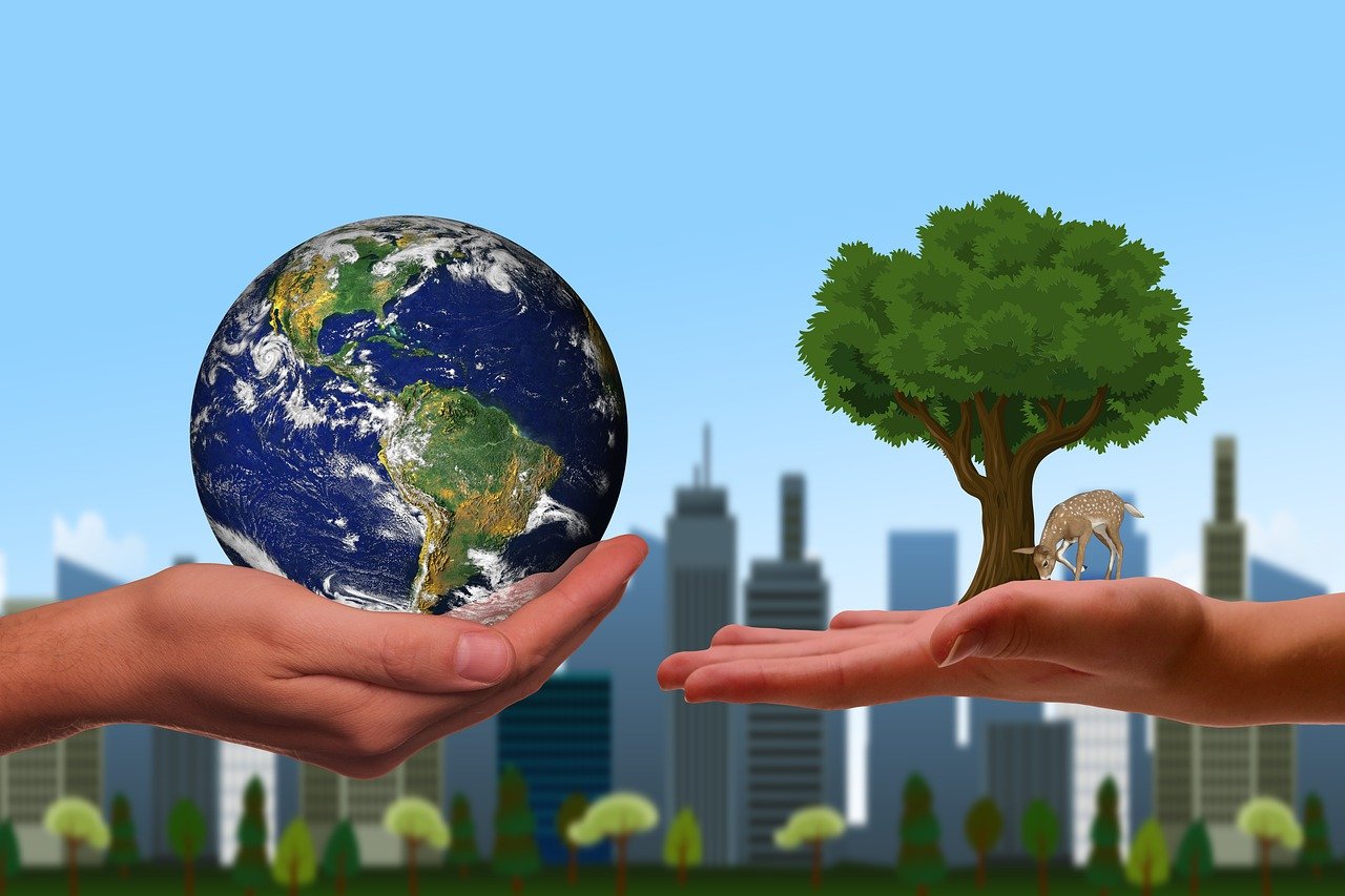 Many Schools Are Still Without a Sustainability Lead — What can be done?
