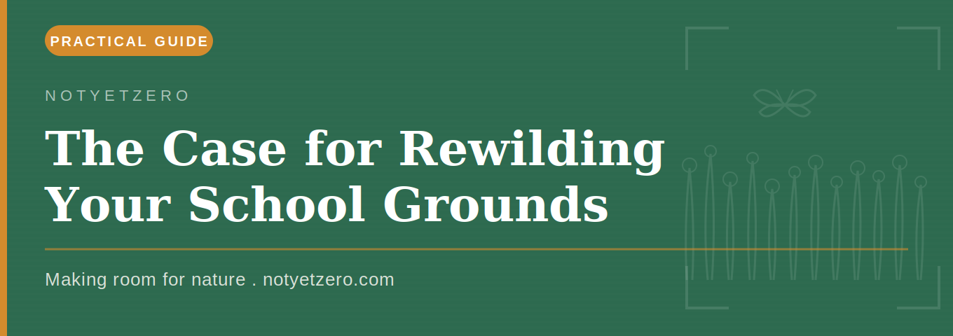 The Case for Rewilding Your School Grounds