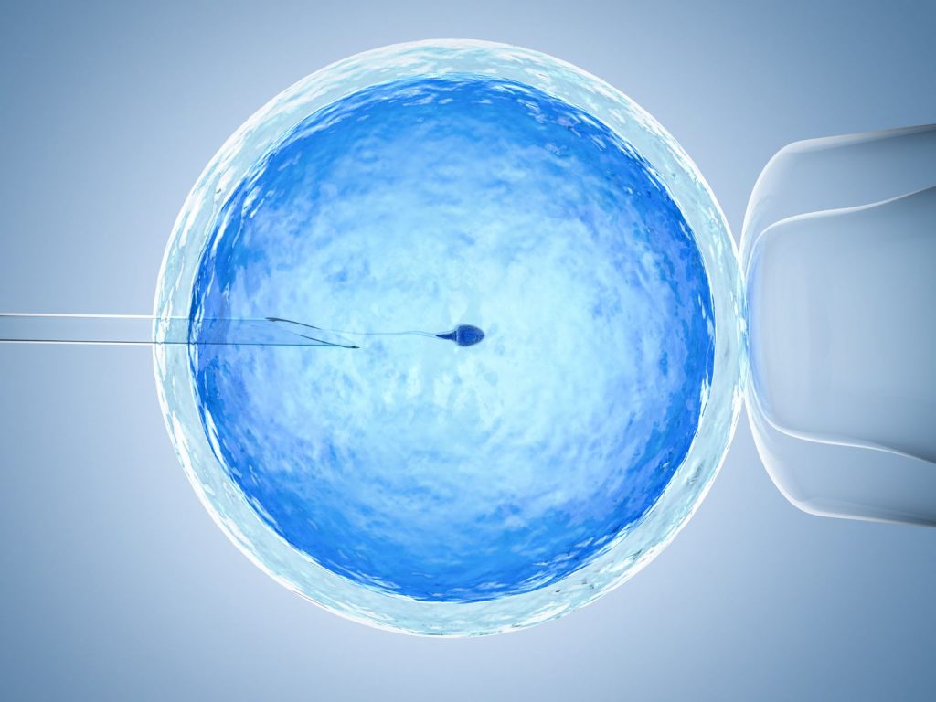 Fertilization IVF & ICSI