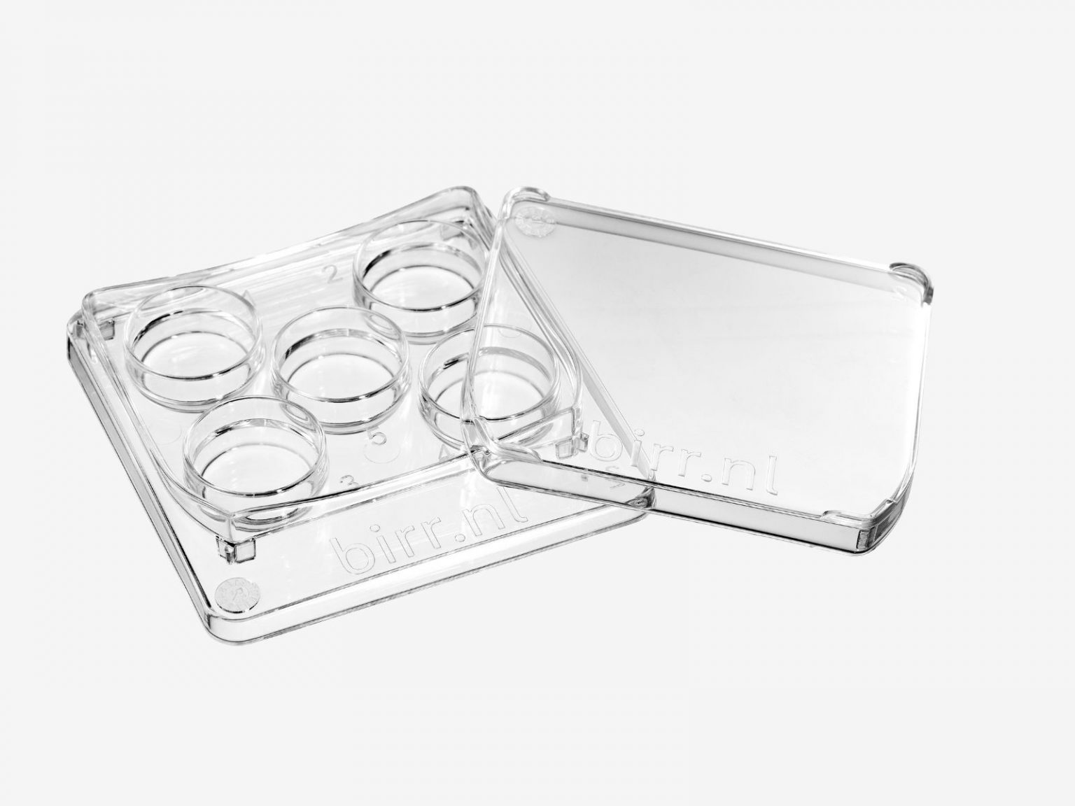 Square 5 Well dish - Novivitae