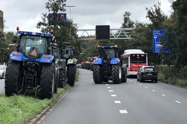 фермеры протестуют против политики Нидерландов