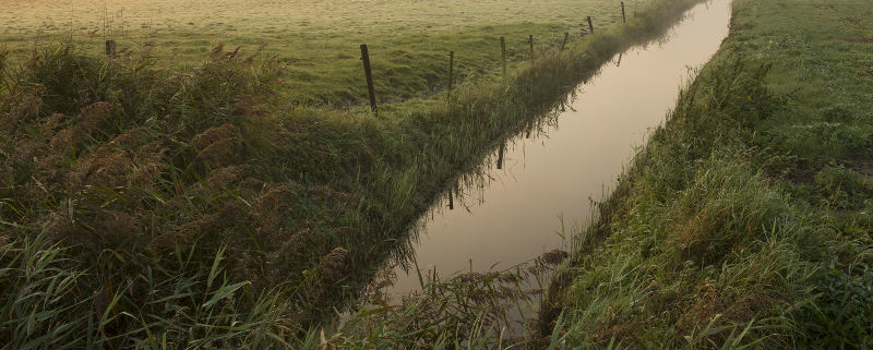 gruttoweide Sint-Laureins