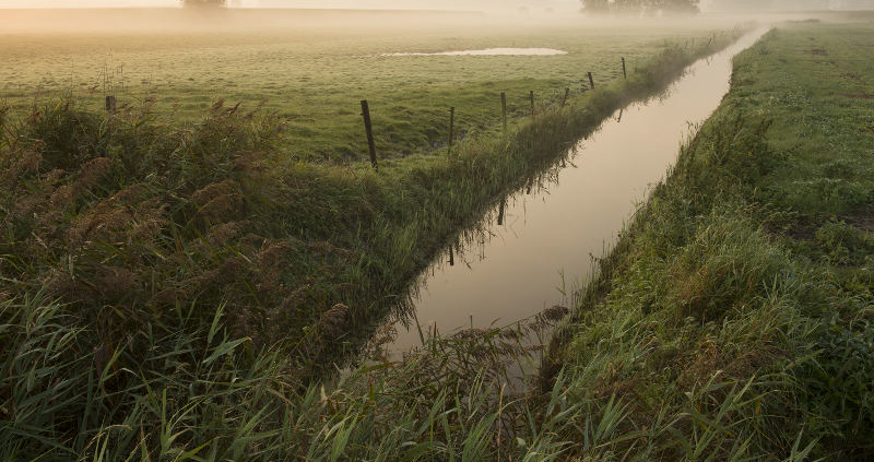 gruttoweide Sint-Laureins