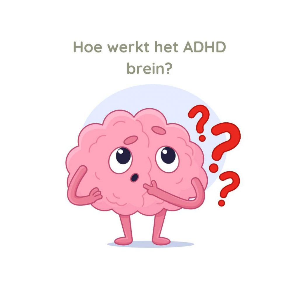 AD(H)D brein