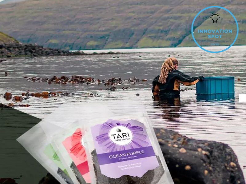 Tari: cultivating seaweed