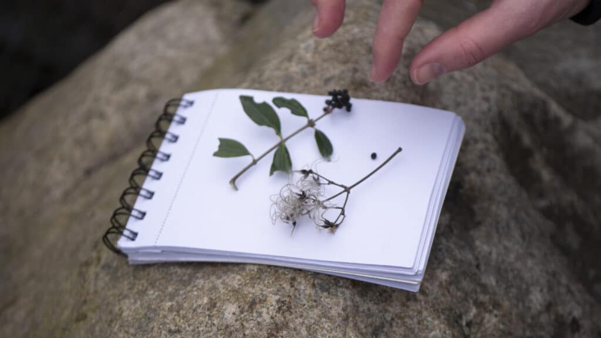 NXT for a New European Bauhaus