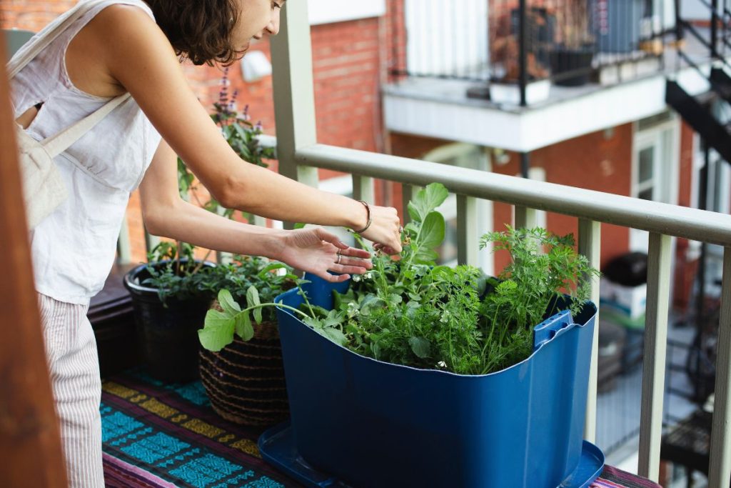 Fördelar med Urban Gardening stadsodling