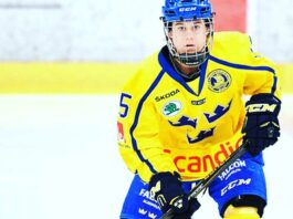 Lisa Johansson ser fram emot kvalen till OS och VM för landslagshockeyn