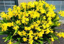 Glad Påsk och trevlig helg!