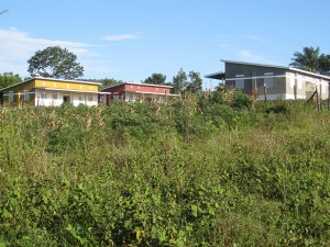 DCIM_101CANON_IMG_9096