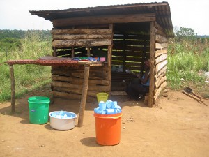 DCIM_101CANON_IMG_9321