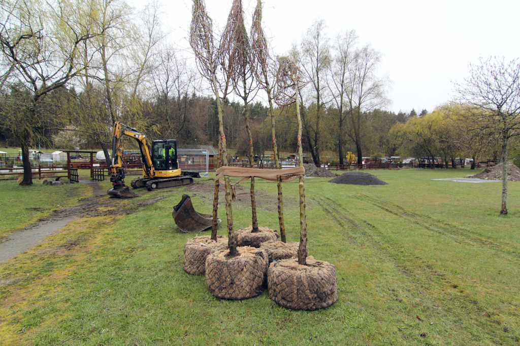 Trädplantering Rinkeby