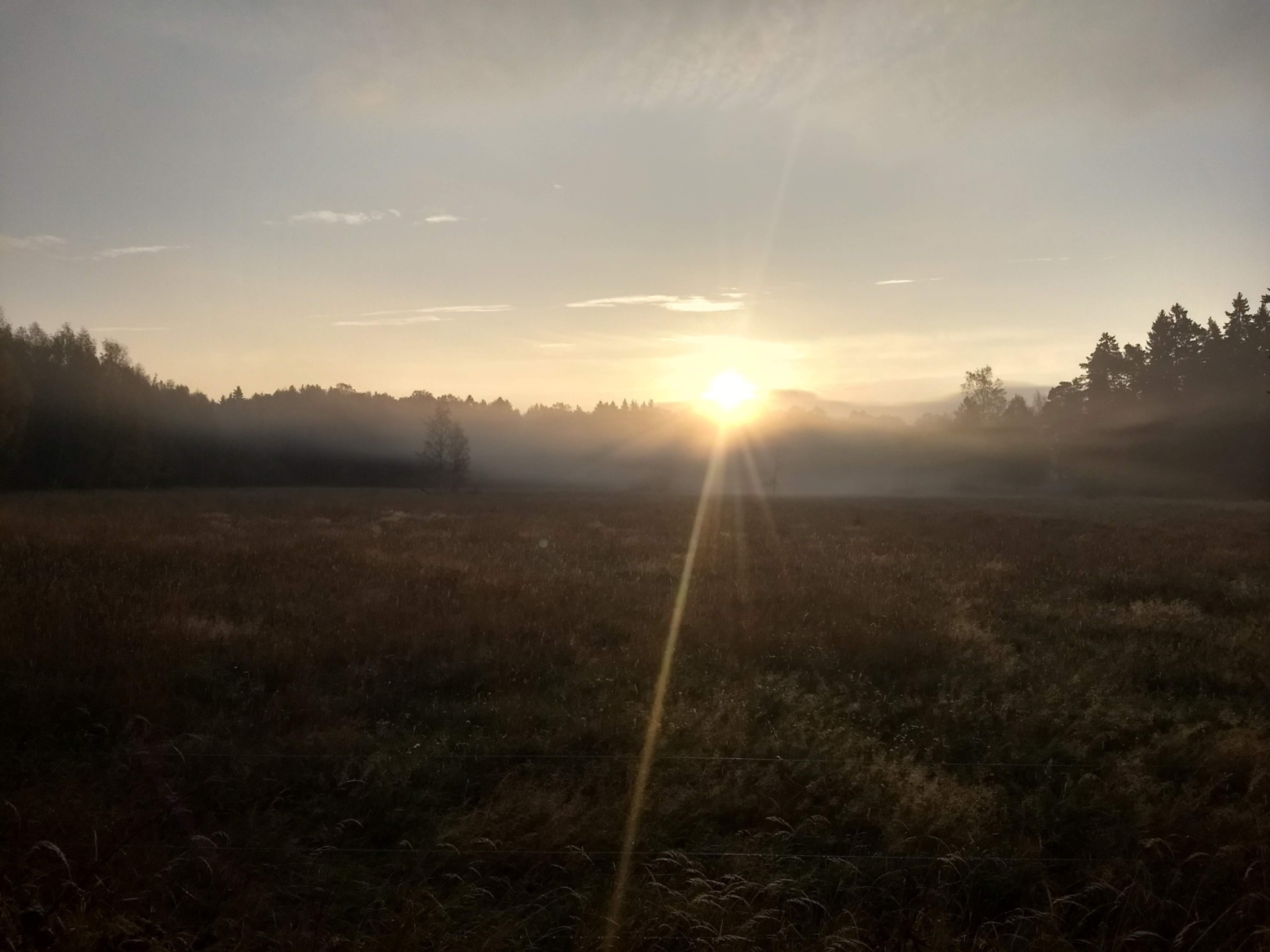 solnedgång över järvafältet