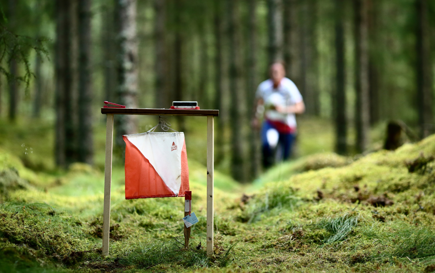 man springer i skogen och en orienteringsskärm i förgrunden.