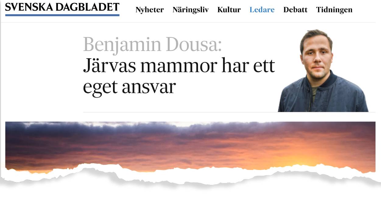 Skärmavbild från svenska dagbladet