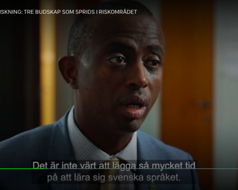 En miljöpartist i Borlänge med somaliskt ursprung.
