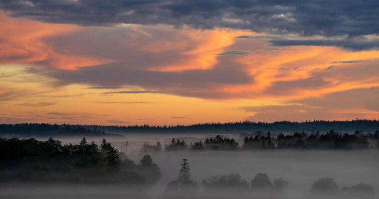 dimmigt skogslandskap uppifrån i solnedgång eller soluppgång