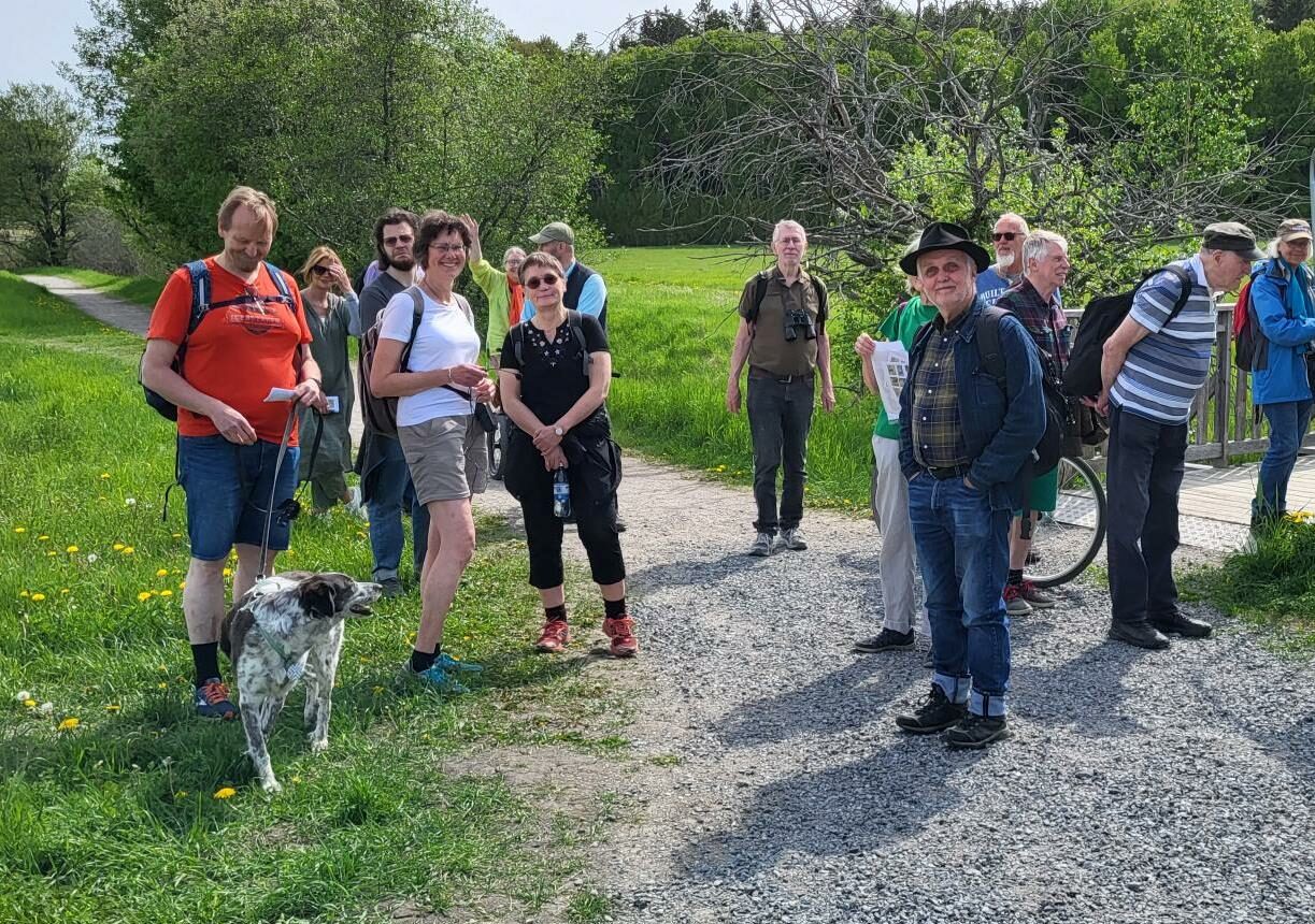 En grupp miljöpartister vandrar längs Igelbäcken.