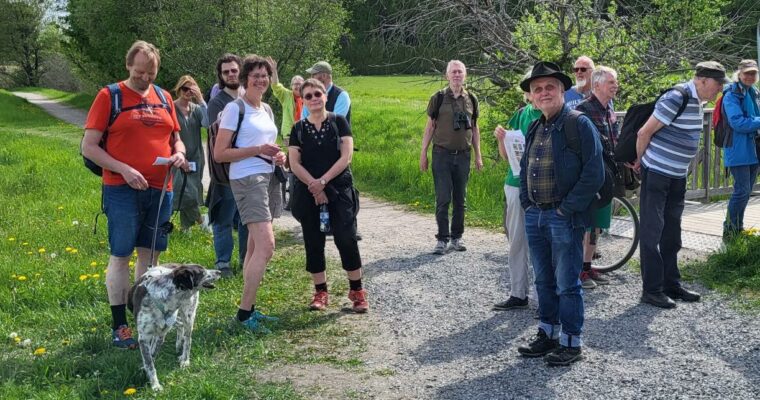 En grupp miljöpartister vandrar längs Igelbäcken.