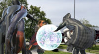 bild på AR-installation där fyra figurer utför magisk rit i luften kring en vit lysande boll på Husby gård