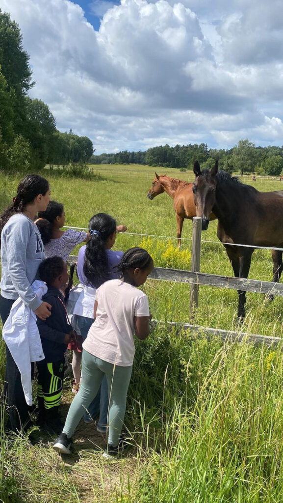 Barn hälsar på hästar i en hage