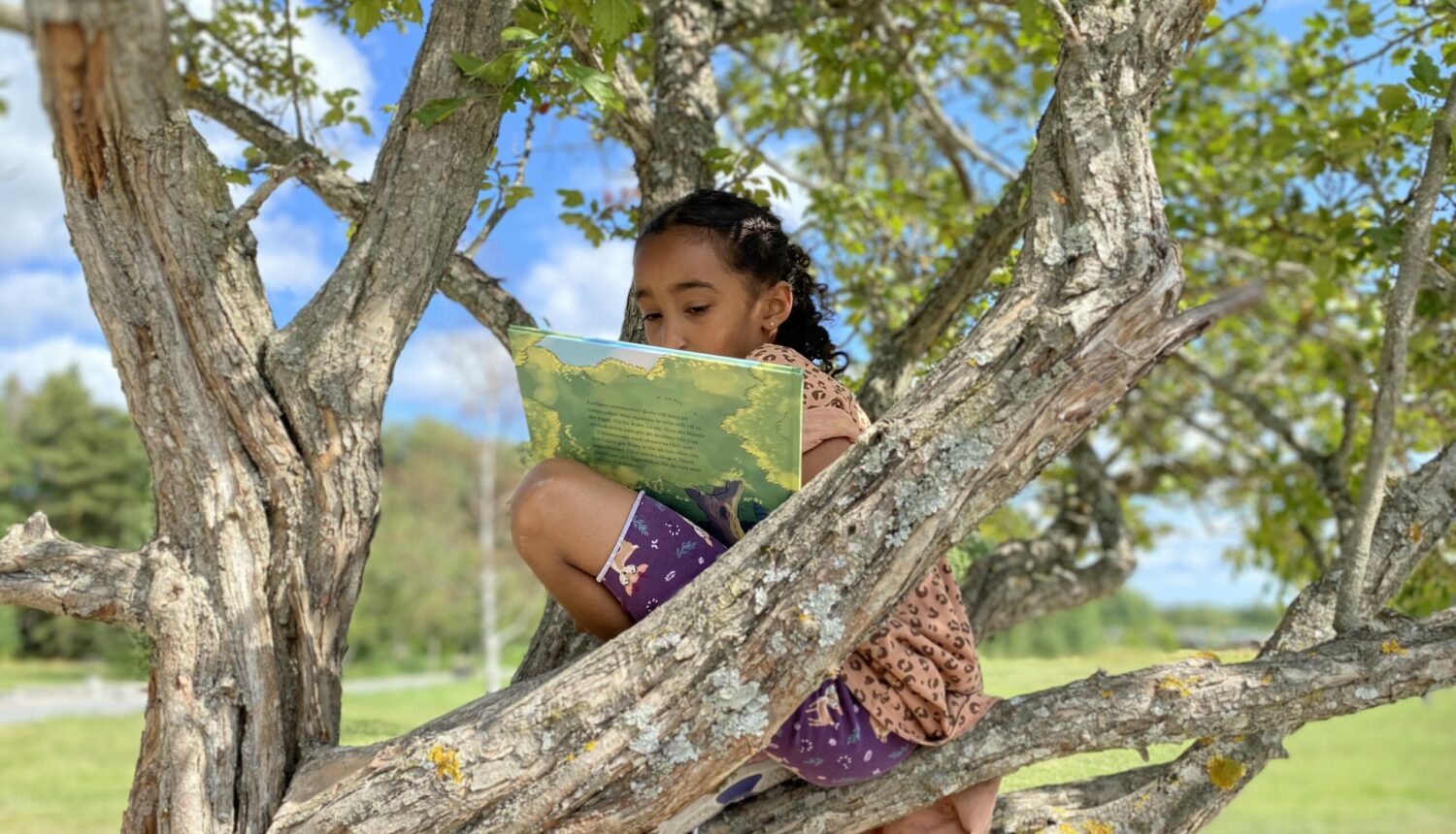 Flicka sitter upp i ett träd och läser bok