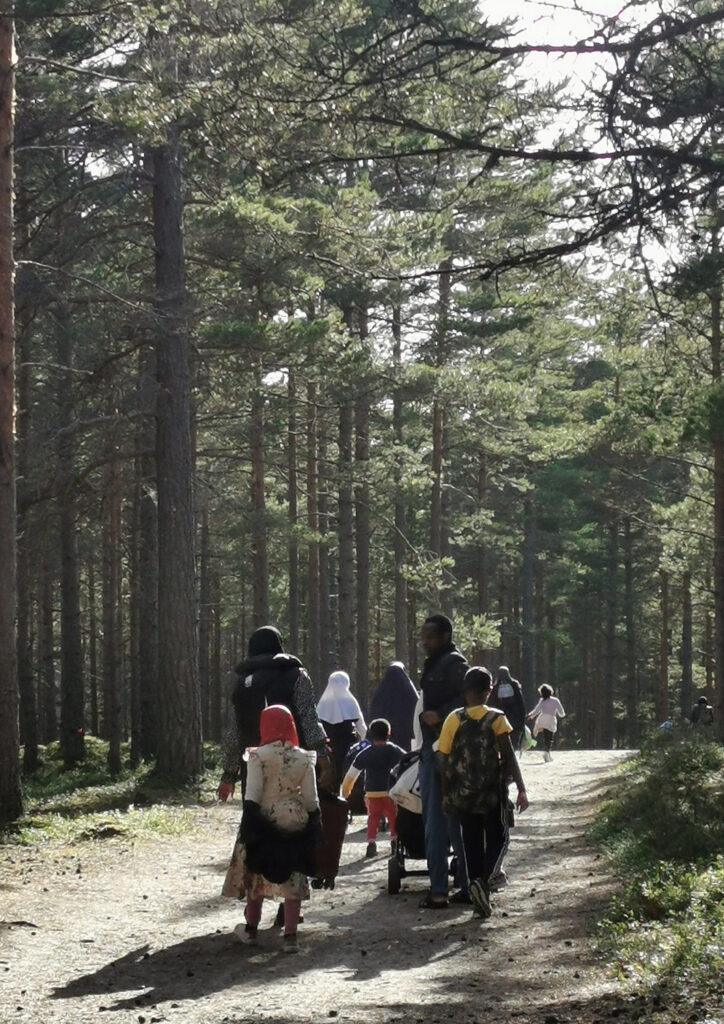 flera barn och ett par vuxna promenerar på skogsväg genom barrskog