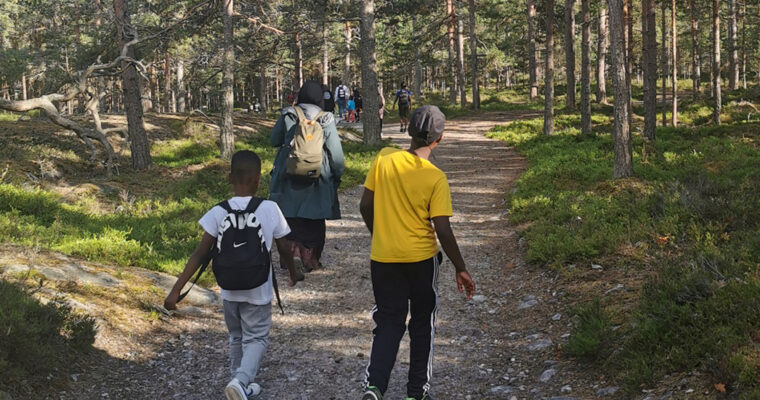 barn och en vuxen går genom tallskog