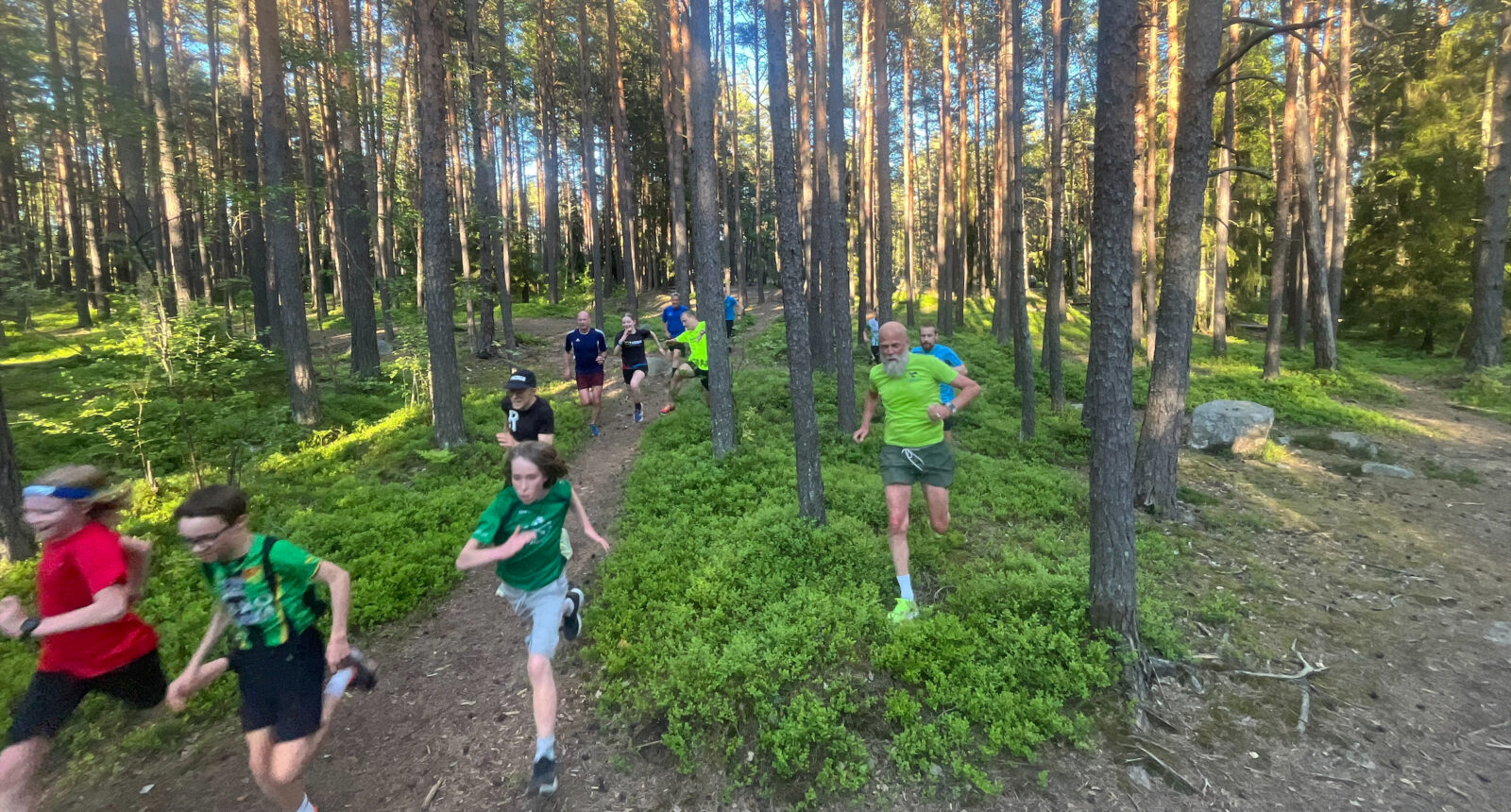 Löpare som springer emot kameran i en grön och solig skog.